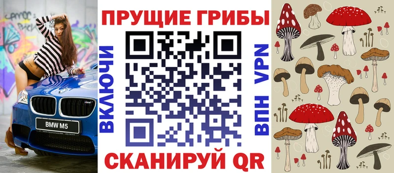 OMG маркетплейс  Кстово  Галлюциногенные грибы Magic Shrooms 