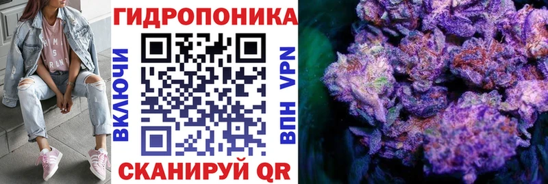OMG ССЫЛКА  Кстово  Марихуана OG Kush 
